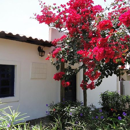 Vila Noronha Fernando de Noronha Exterior foto